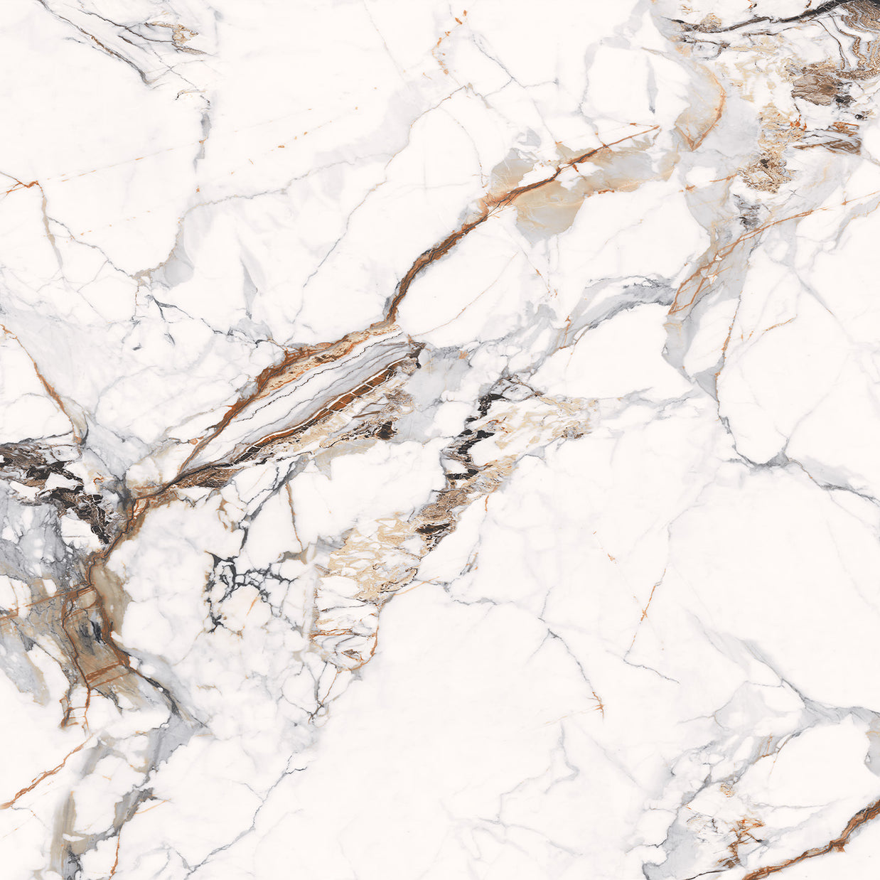 Calacatta Nisus 10107