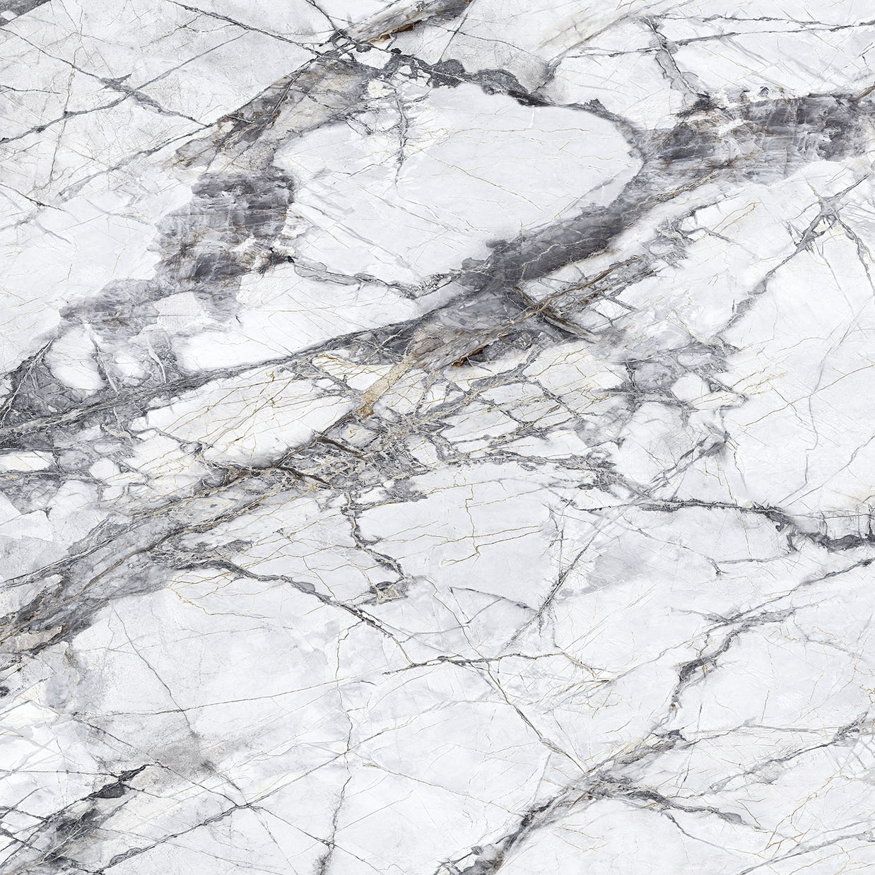 Teravia White 101121