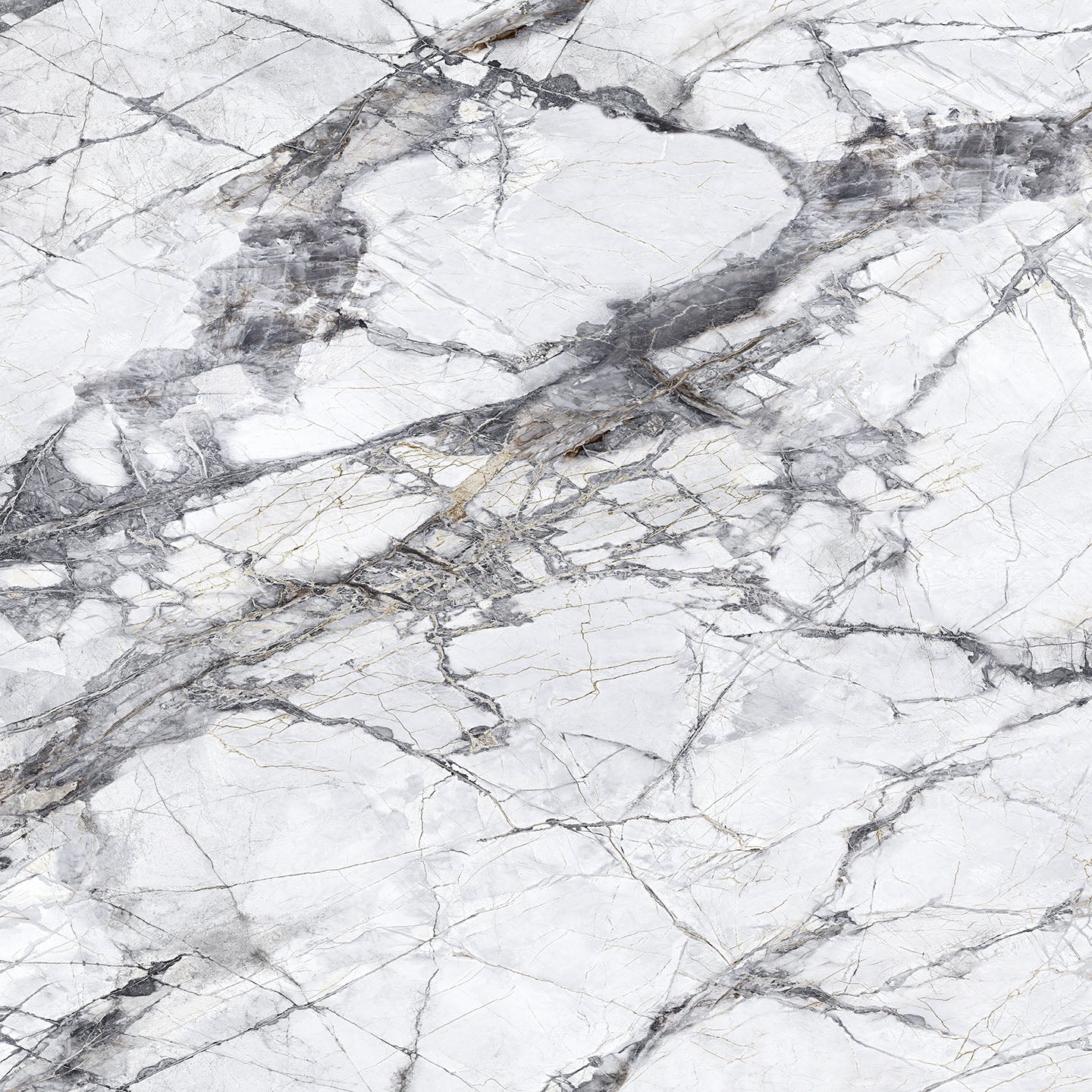 Teravia White 101121