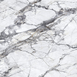 Teravia White 101121