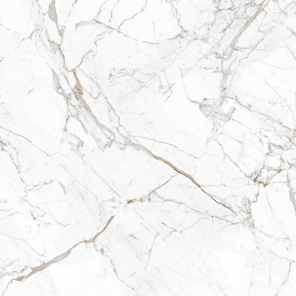 Calacatta Claire Grey 10115