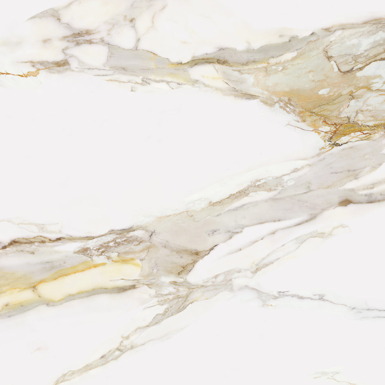 Calacatta Athena 10120