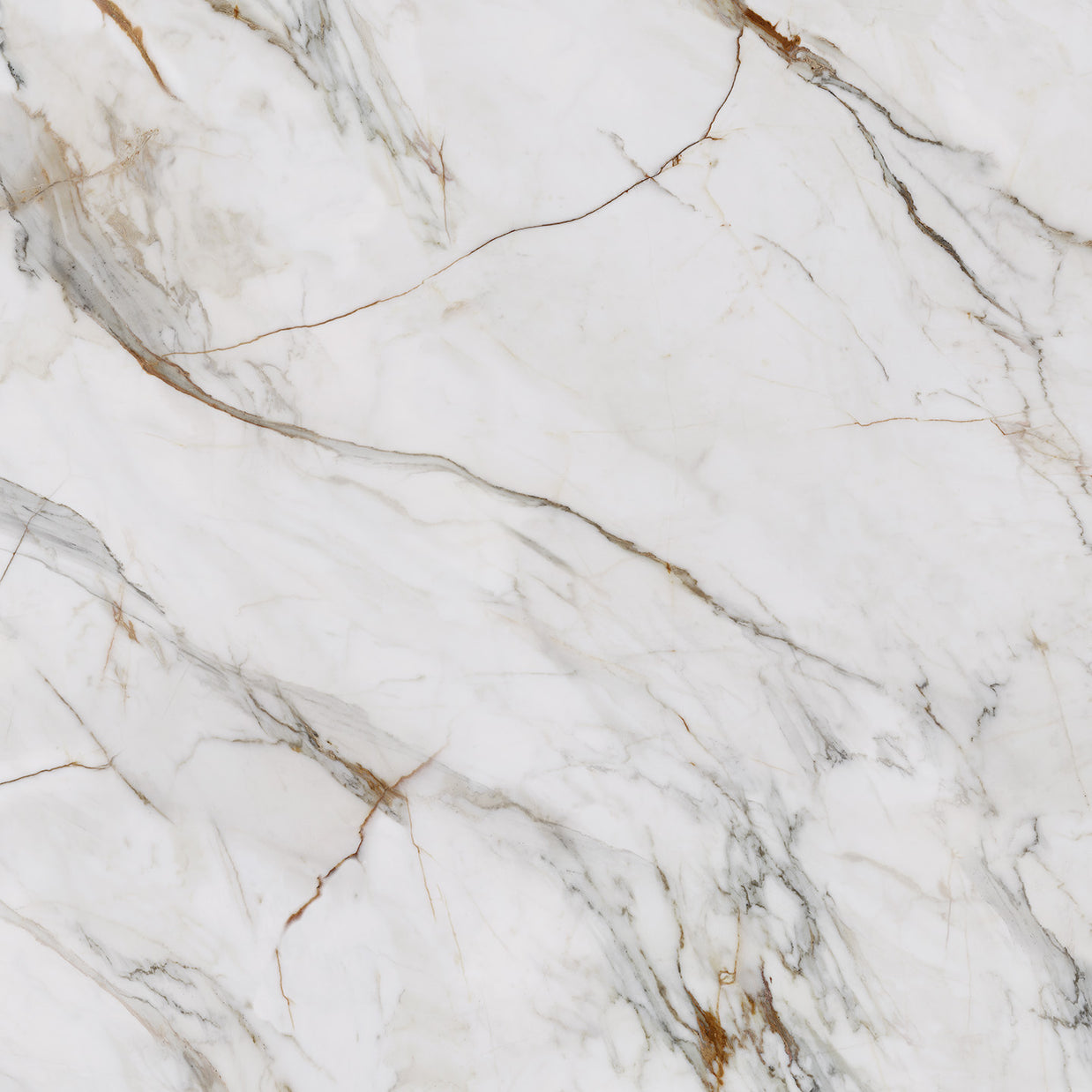 Calacatta Florance Gold 10123