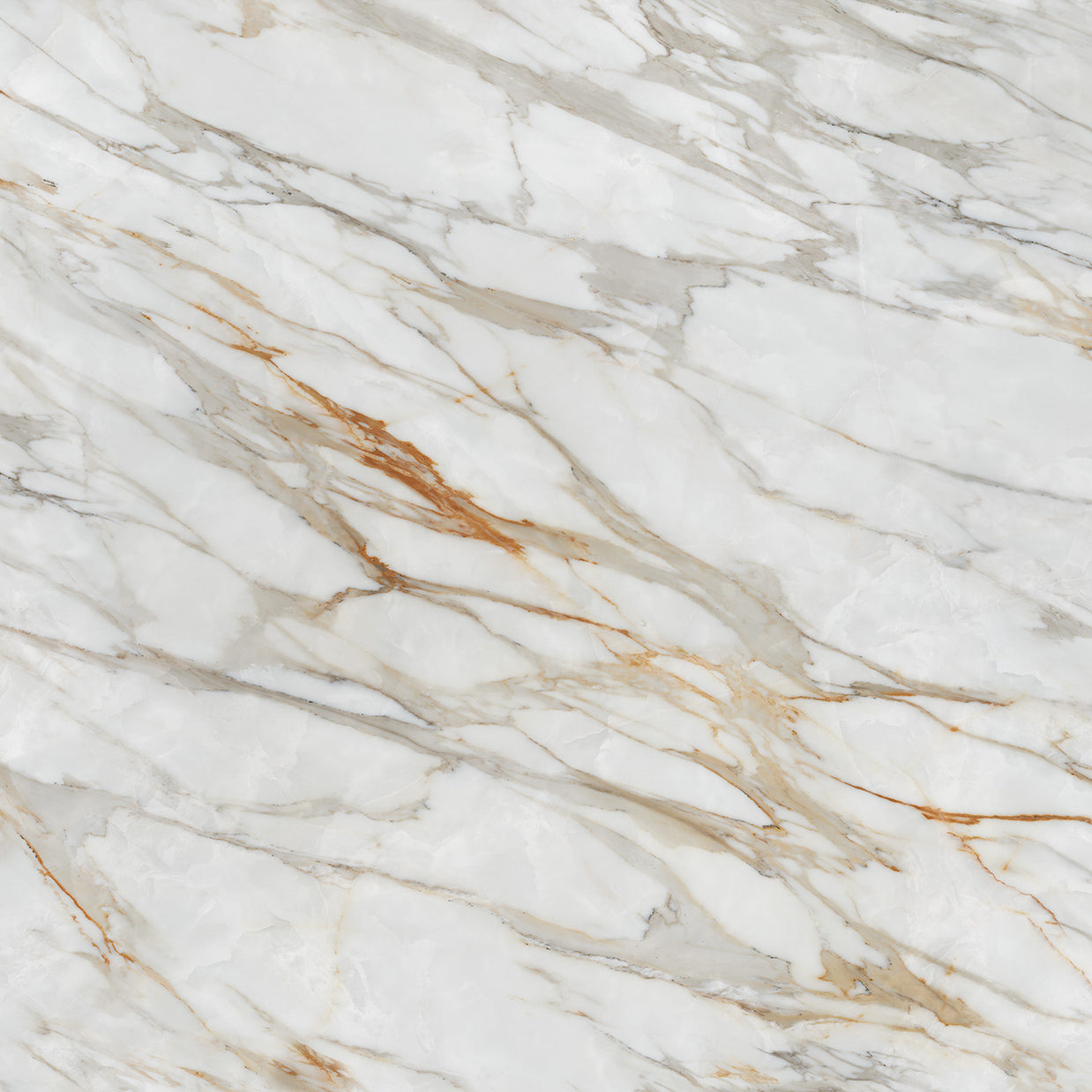 Calacatta Dorado 10124