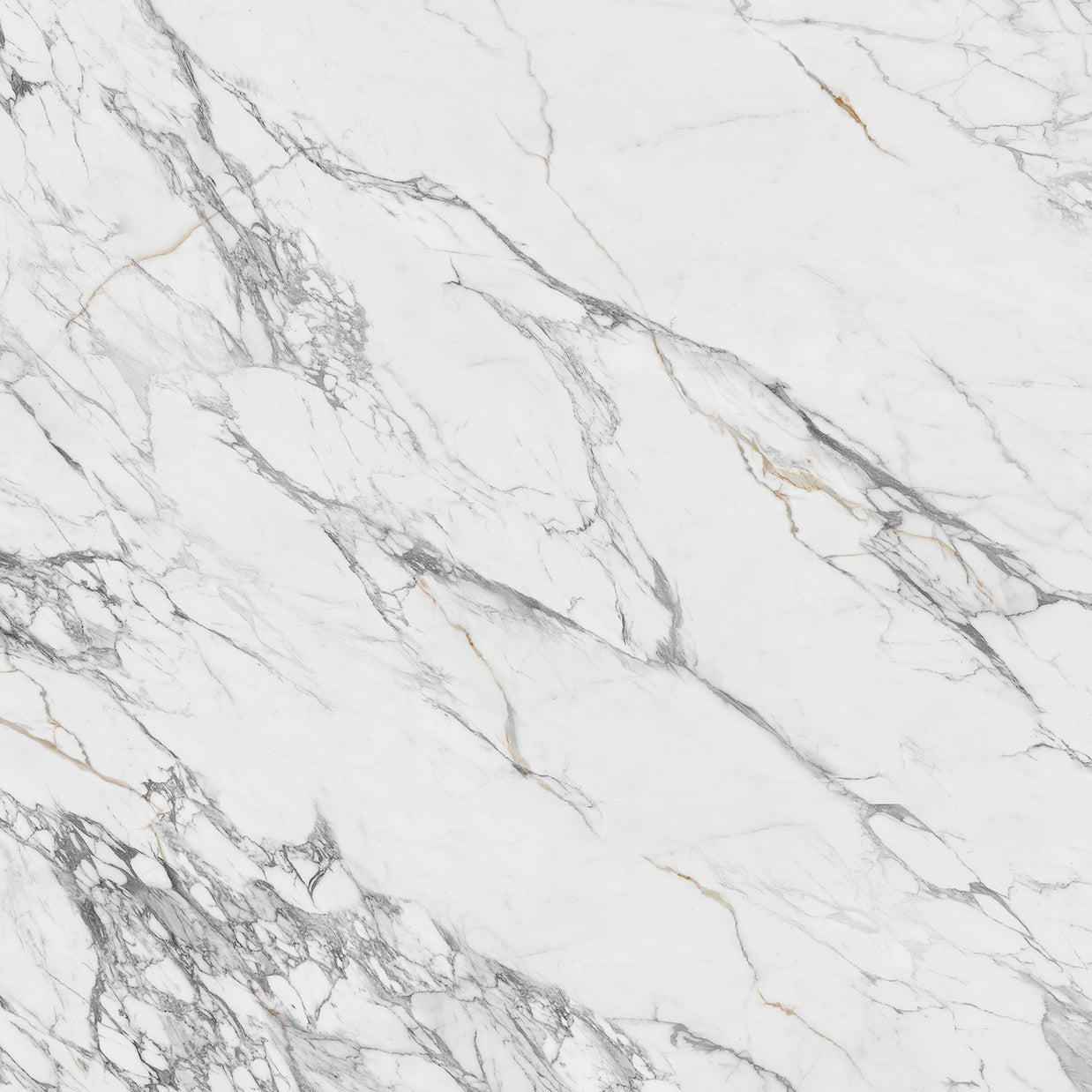 Calacatta Solideria 10136