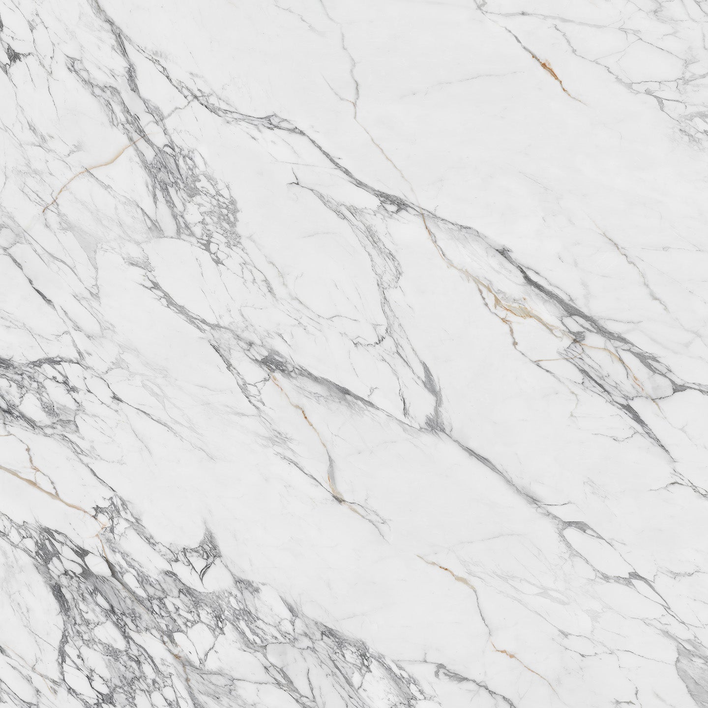 Calacatta Solideria 10136