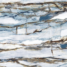 Concardia Maxia 10522