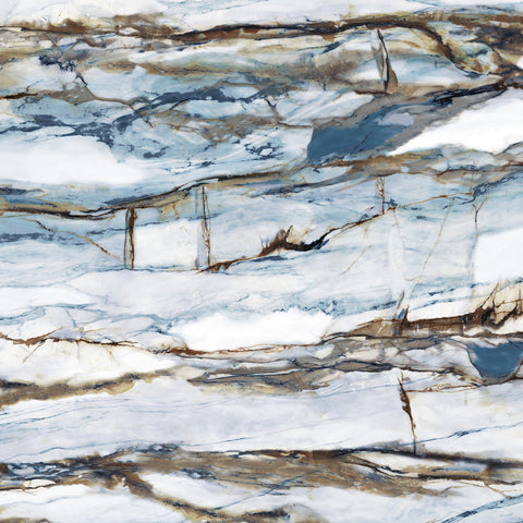 Concardia Maxia 10522