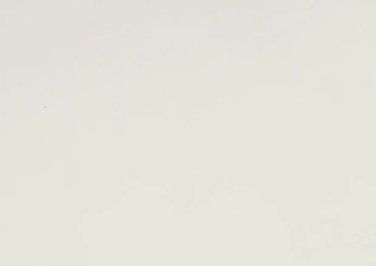 Folie PVC 3D NRV-AYT-401