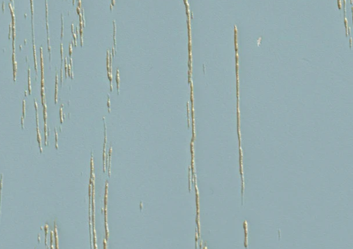 Folie PVC 3D NRV-PAT-206