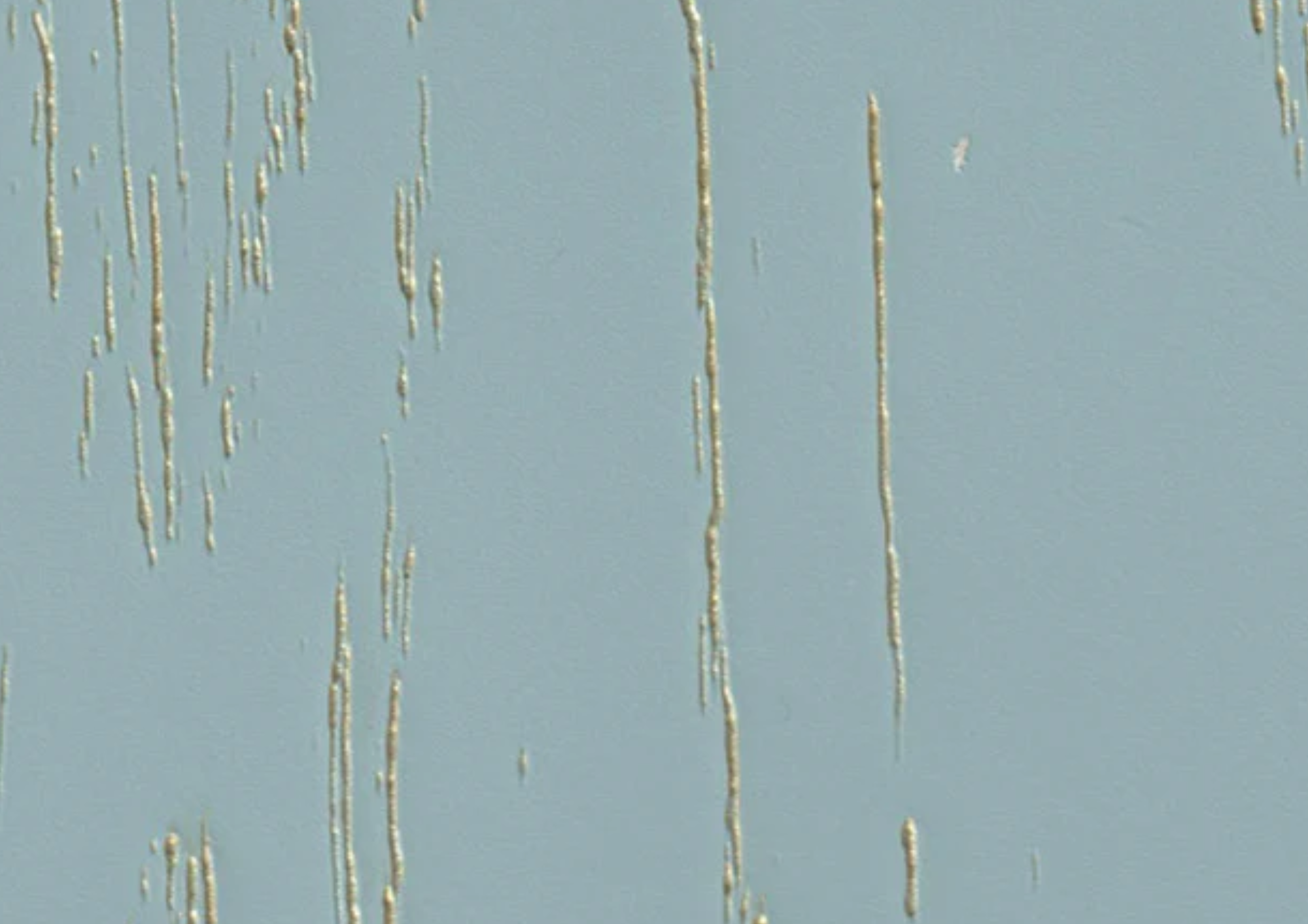 Folie PVC 3D NRV-PAT-206