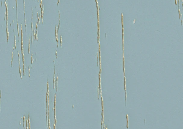 Folie PVC 3D NRV-PAT-206