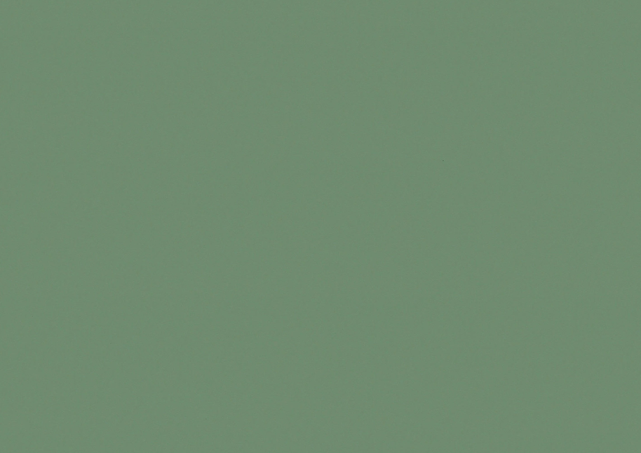 RENOLIT 3D Thermolaminate - Fern Classic