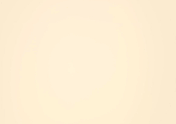 RENOLIT 3D Thermolaminate - HG Magnolia Classic