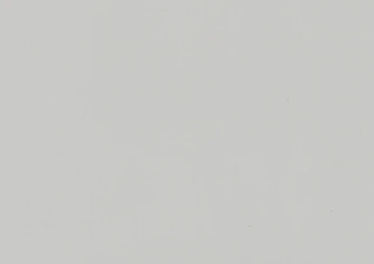 Folie PVC 3D NRV-SSM-619