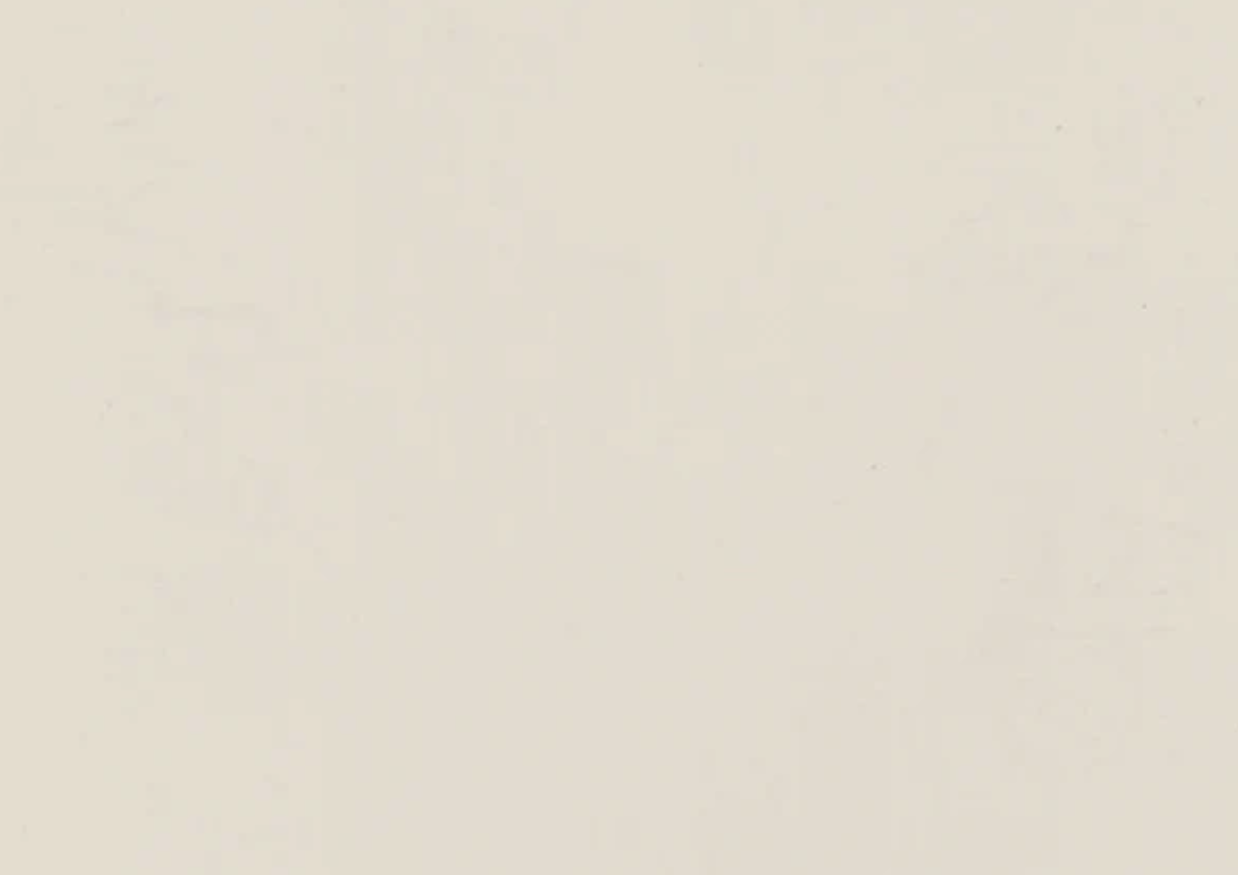 Folie PVC 3D NRV-SMR-616