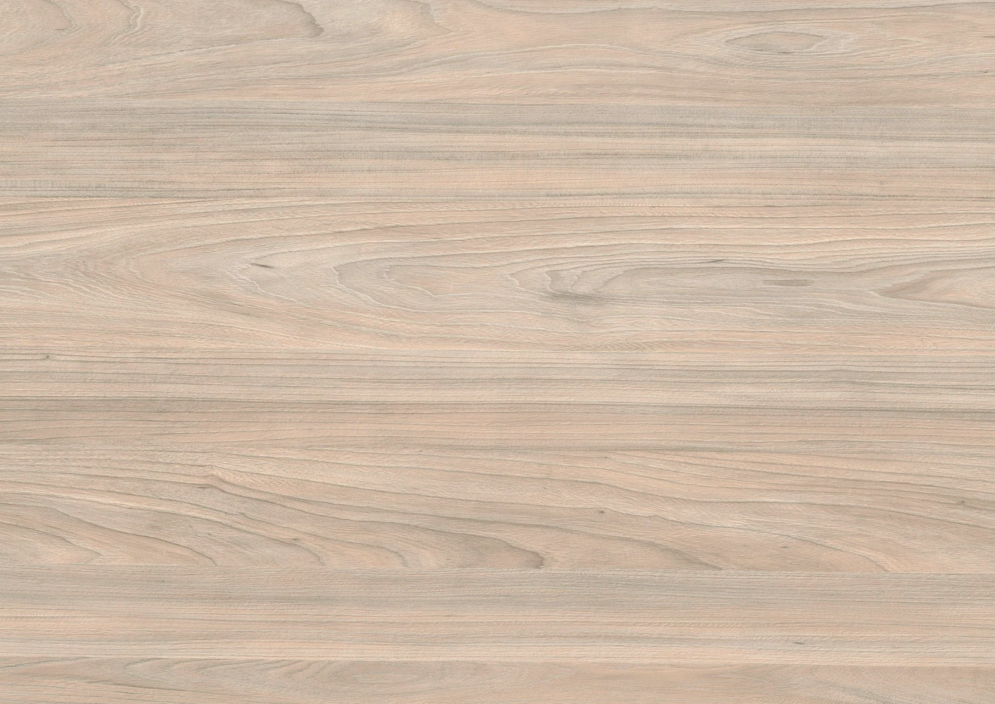 RENOLIT 3D Thermolaminate – Swiss Elm Bleached P Premier