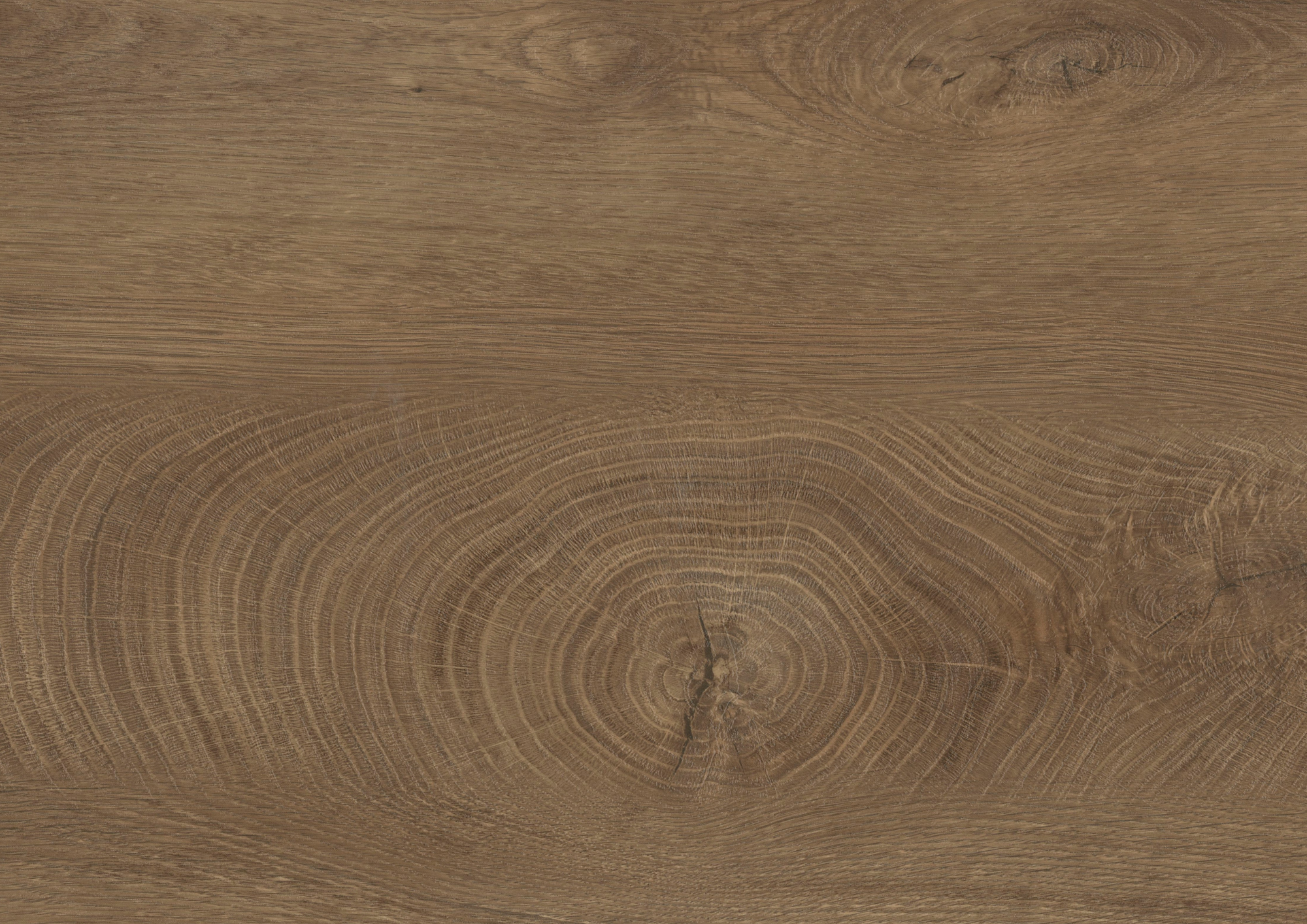 RENOLIT 3D Thermolaminate – Oak ENDgrain Cognac Synchro Premier