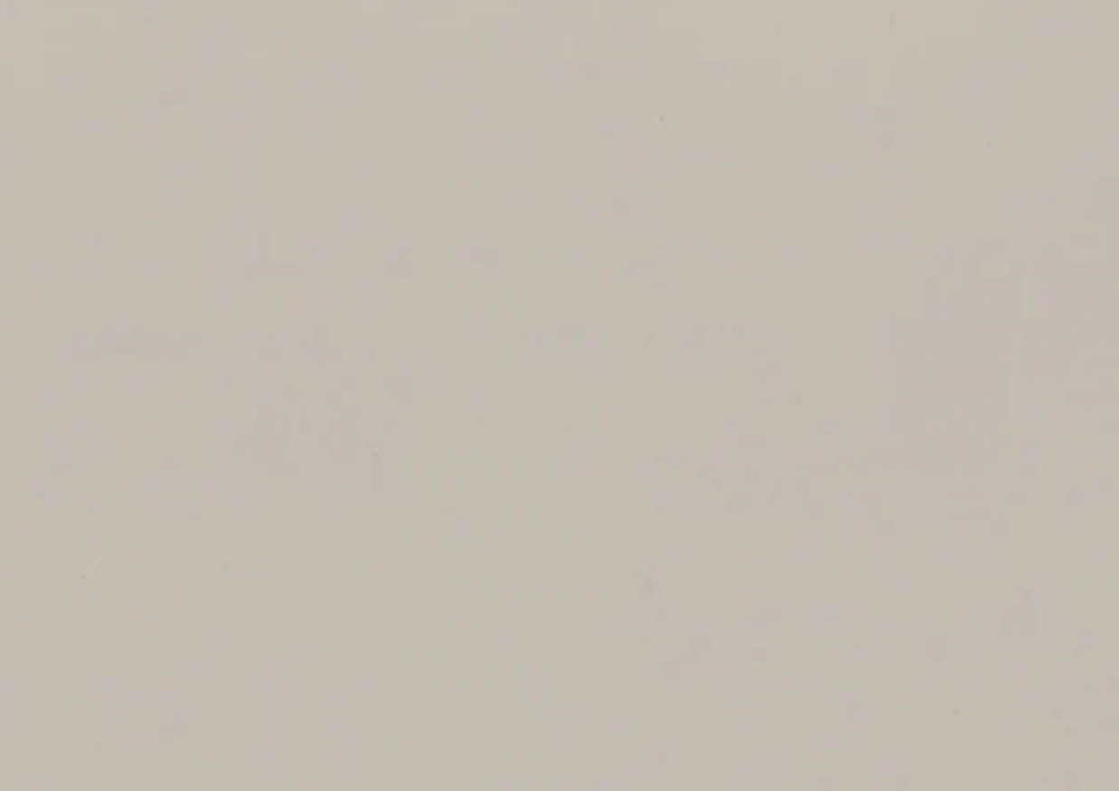 Folie PVC 3D NRV-SBZ-601