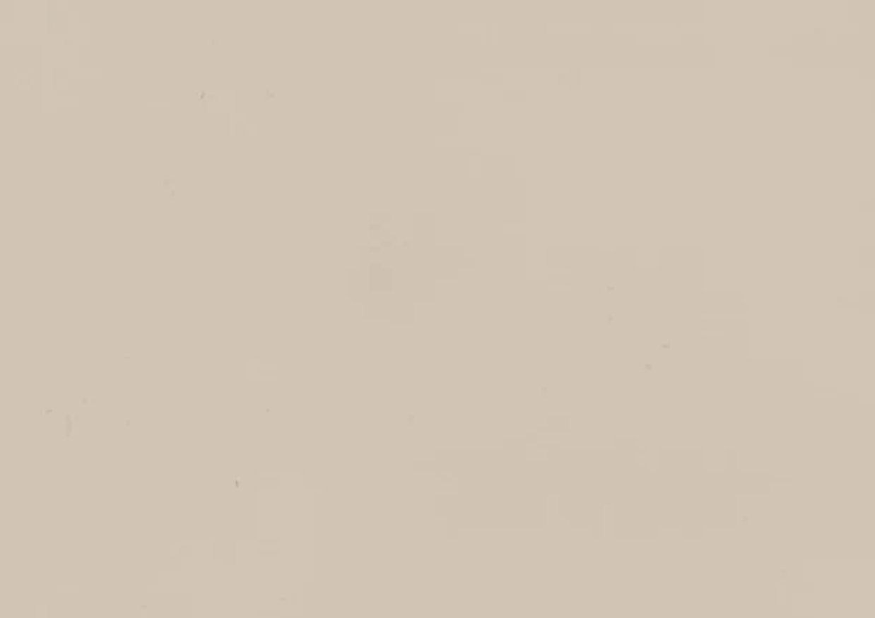 Folie PVC 3D NRV-VZB-423