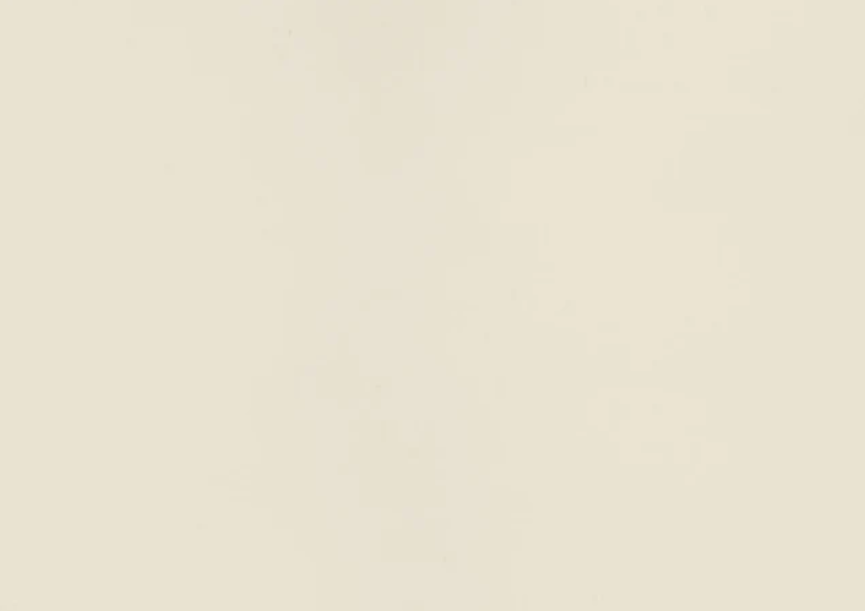 Folie PVC 3D NRV-KRM-416