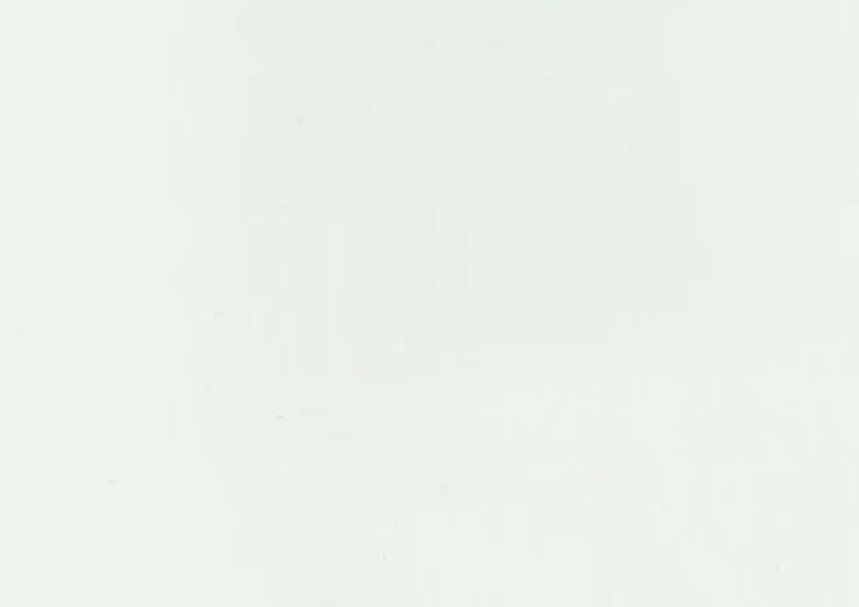 Folie PVC 3D NRV-KKB-415