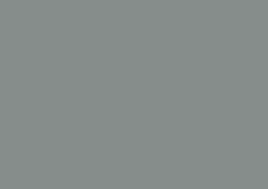 RENOLIT 3D PET Premier Matt – Stone Grey