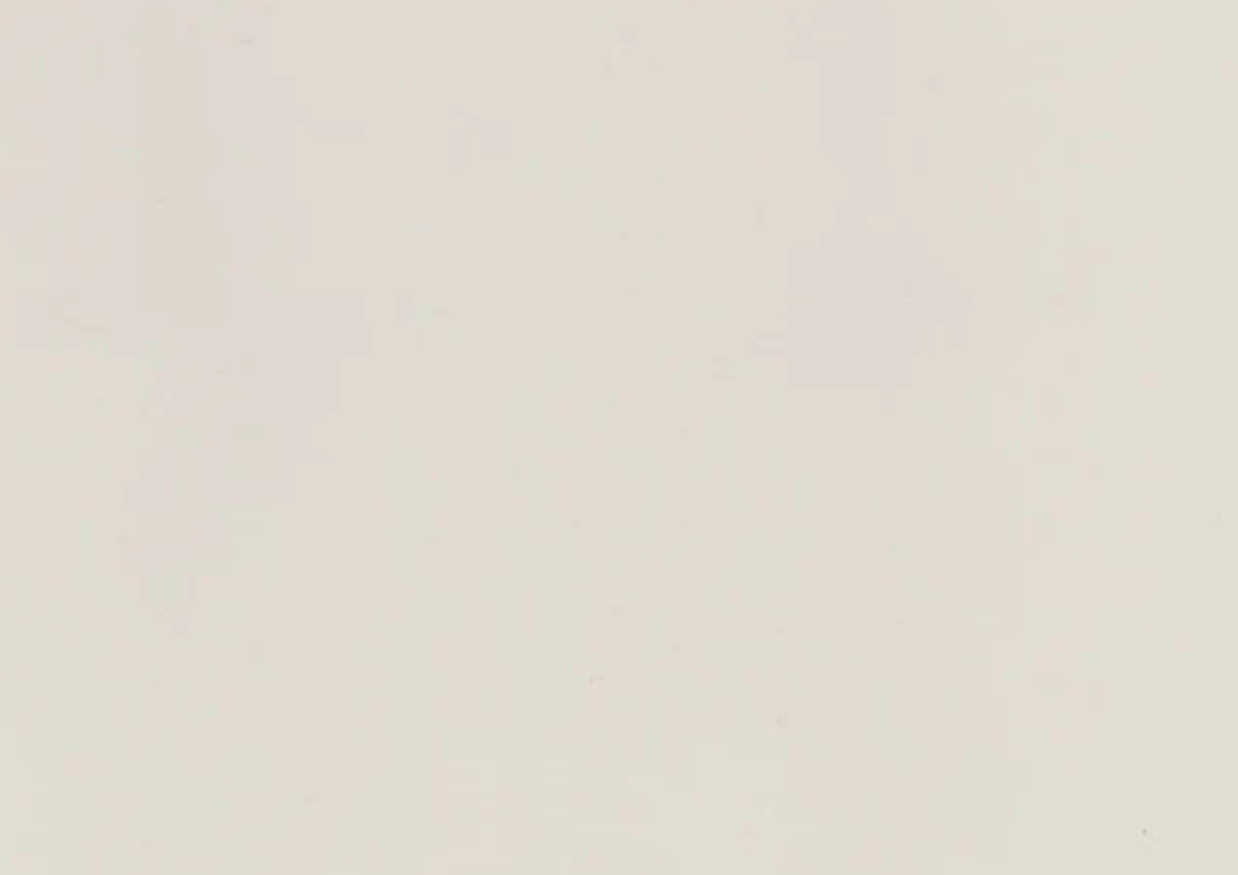 Folie PVC 3D NRV-FLD-405