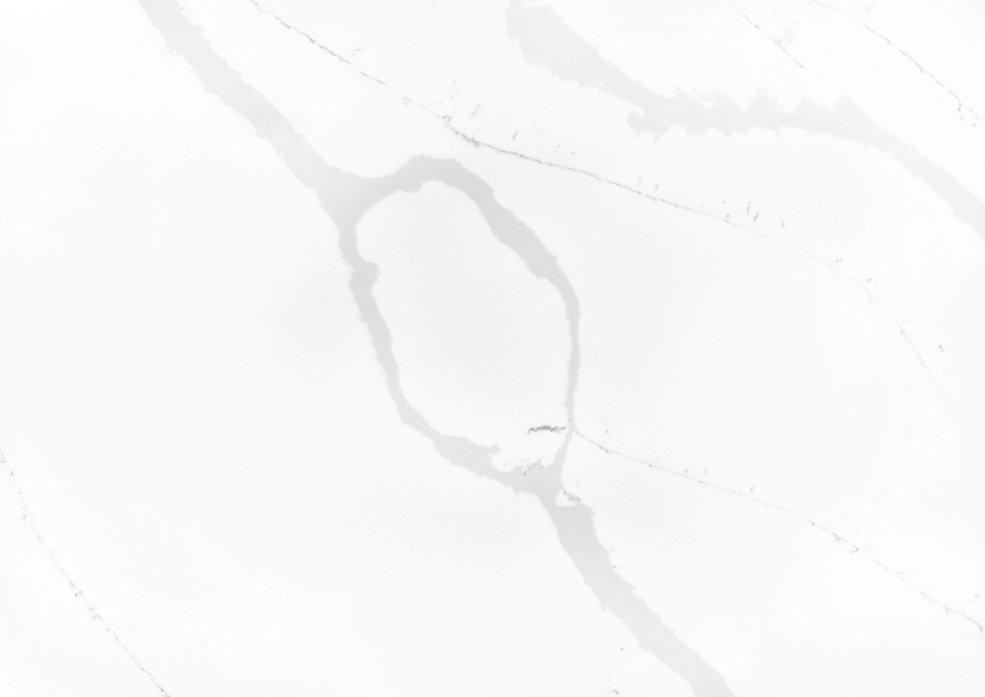 2219 Calacatta Venice