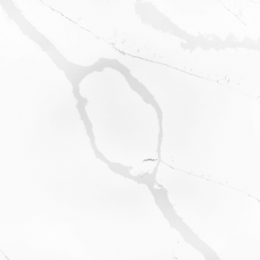 2219 Calacatta Venice