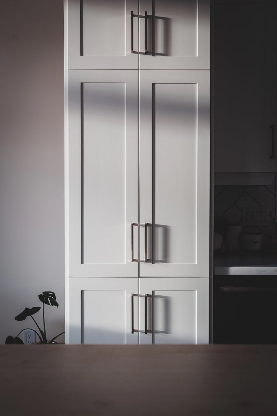 RENOLIT PET Premier Matt – Arctic White