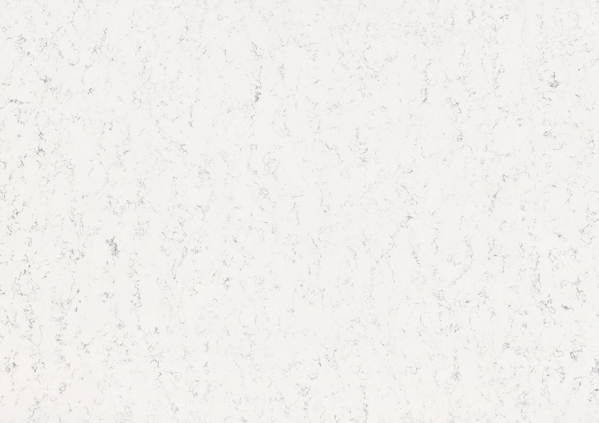 4227 Fairy White