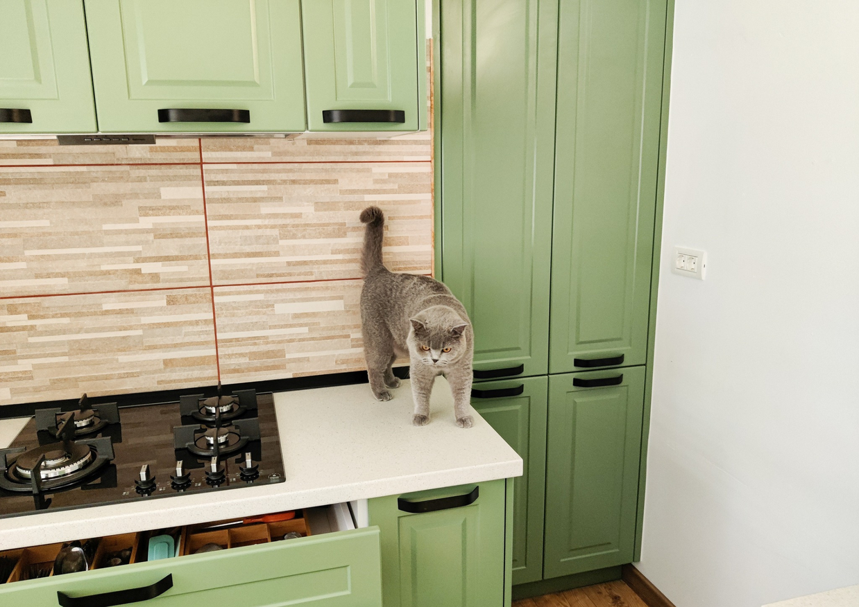 Mobila bucătărie fabricată la comandă de NORVINIA cu blat în L, cu îmbinare invizibilă, blat și glaf geam din același material, mobilier din MDF termoformat