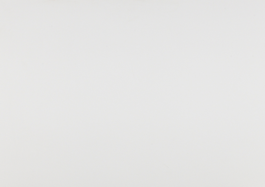 Blanche - 1001L