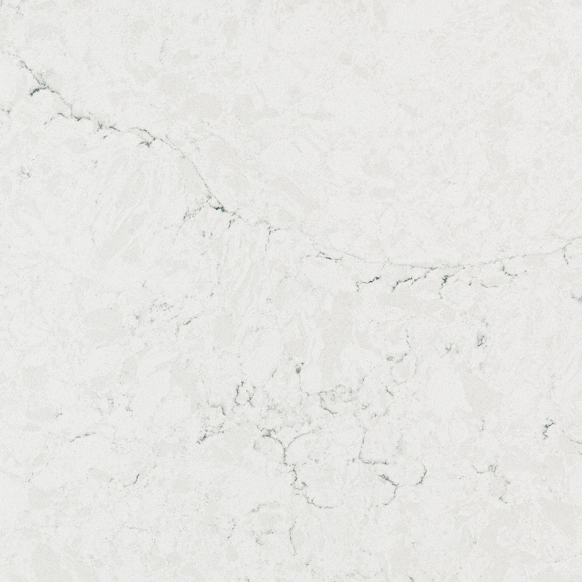 Calacatta Edera 7701