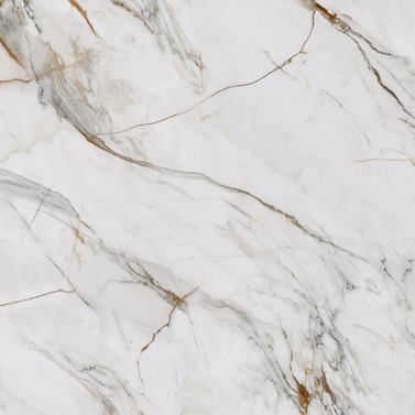 Calacatta Florance Gold 10123
