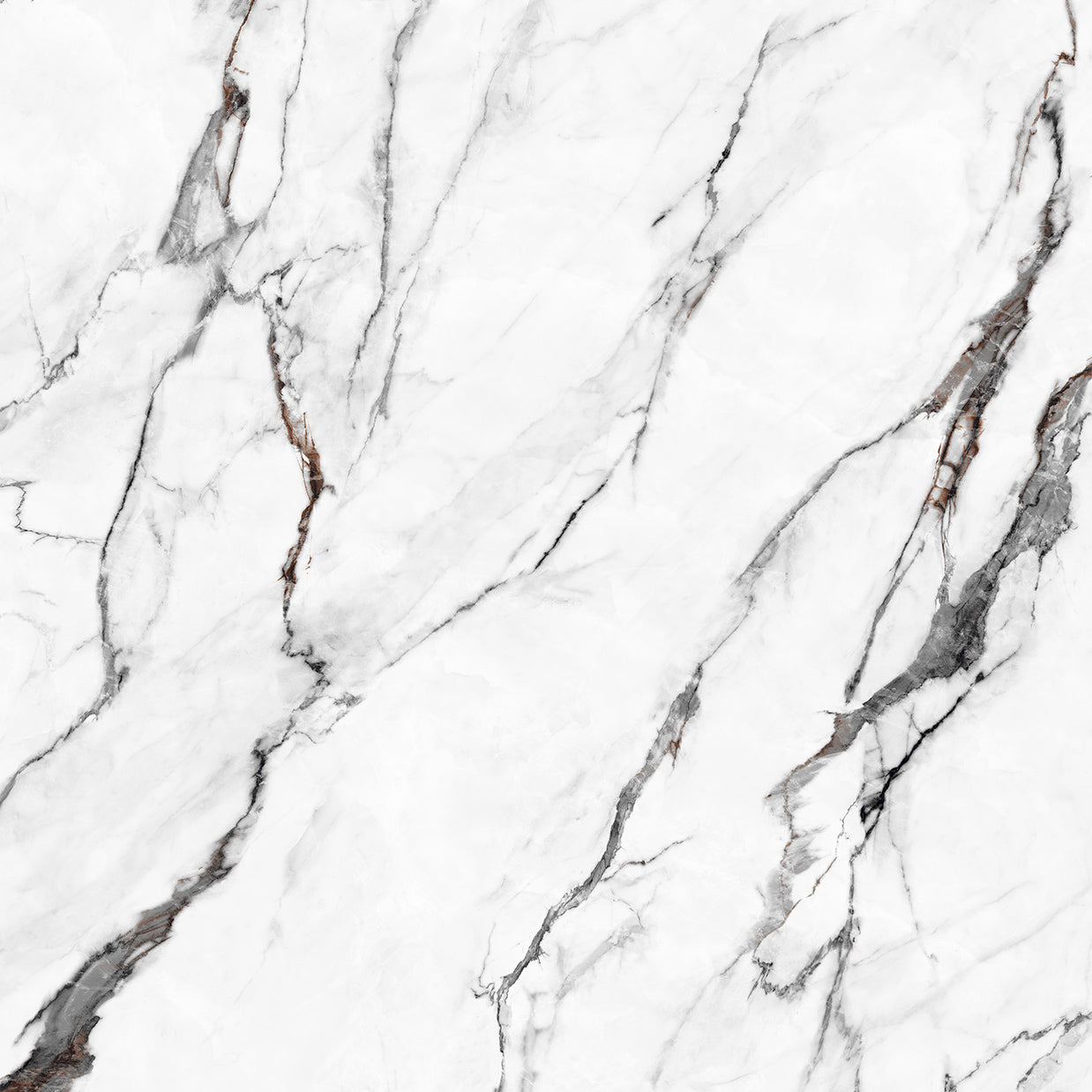 Calacatta Nomada 10135