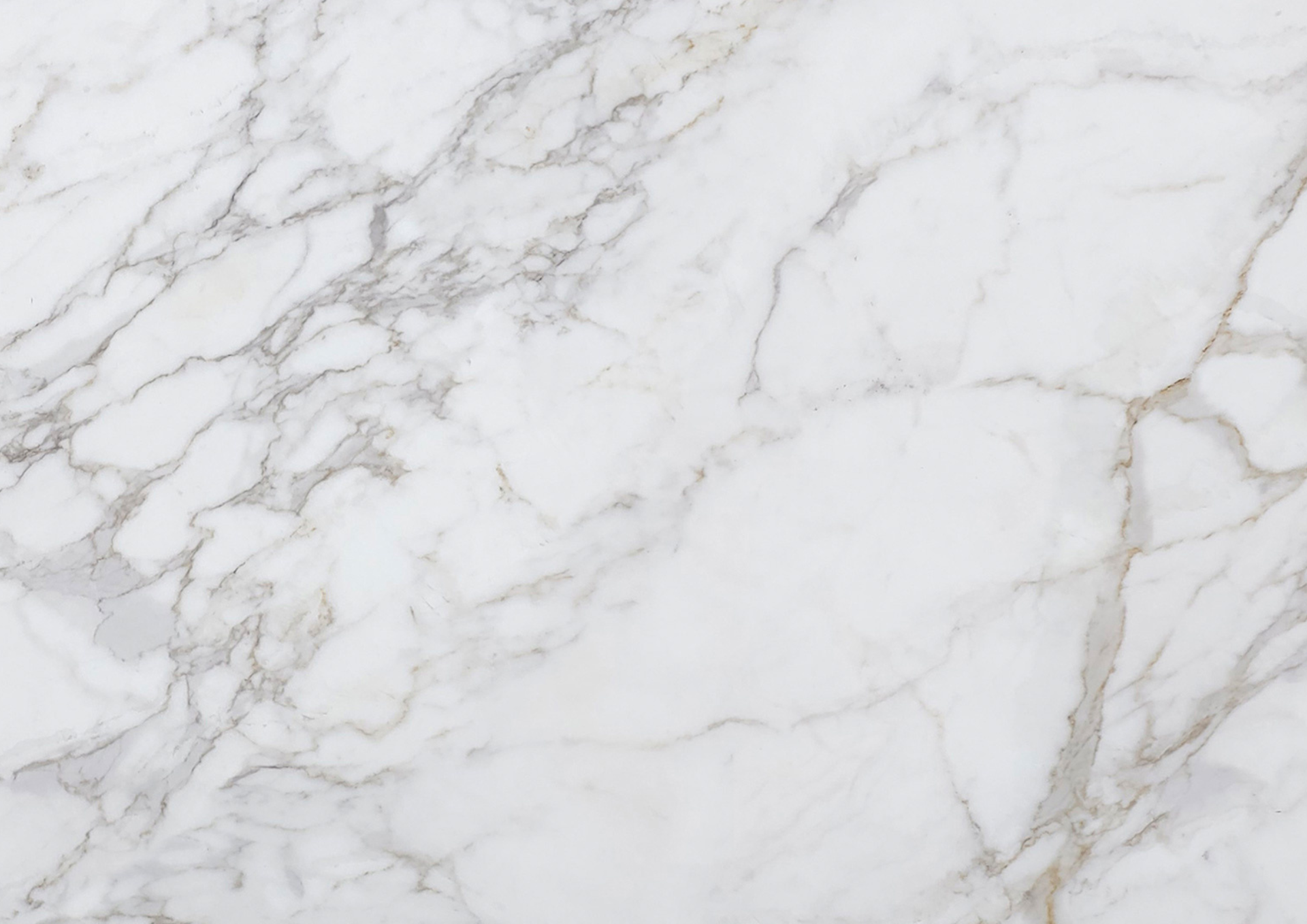 Calacatta Viviez - 5754