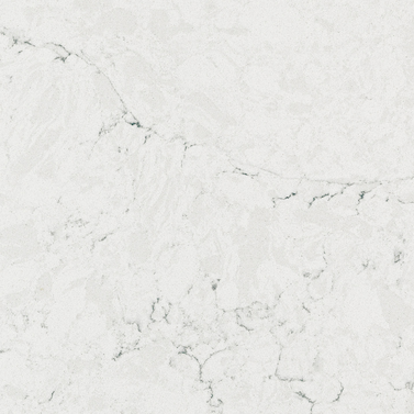 Calacatta Edera 7701