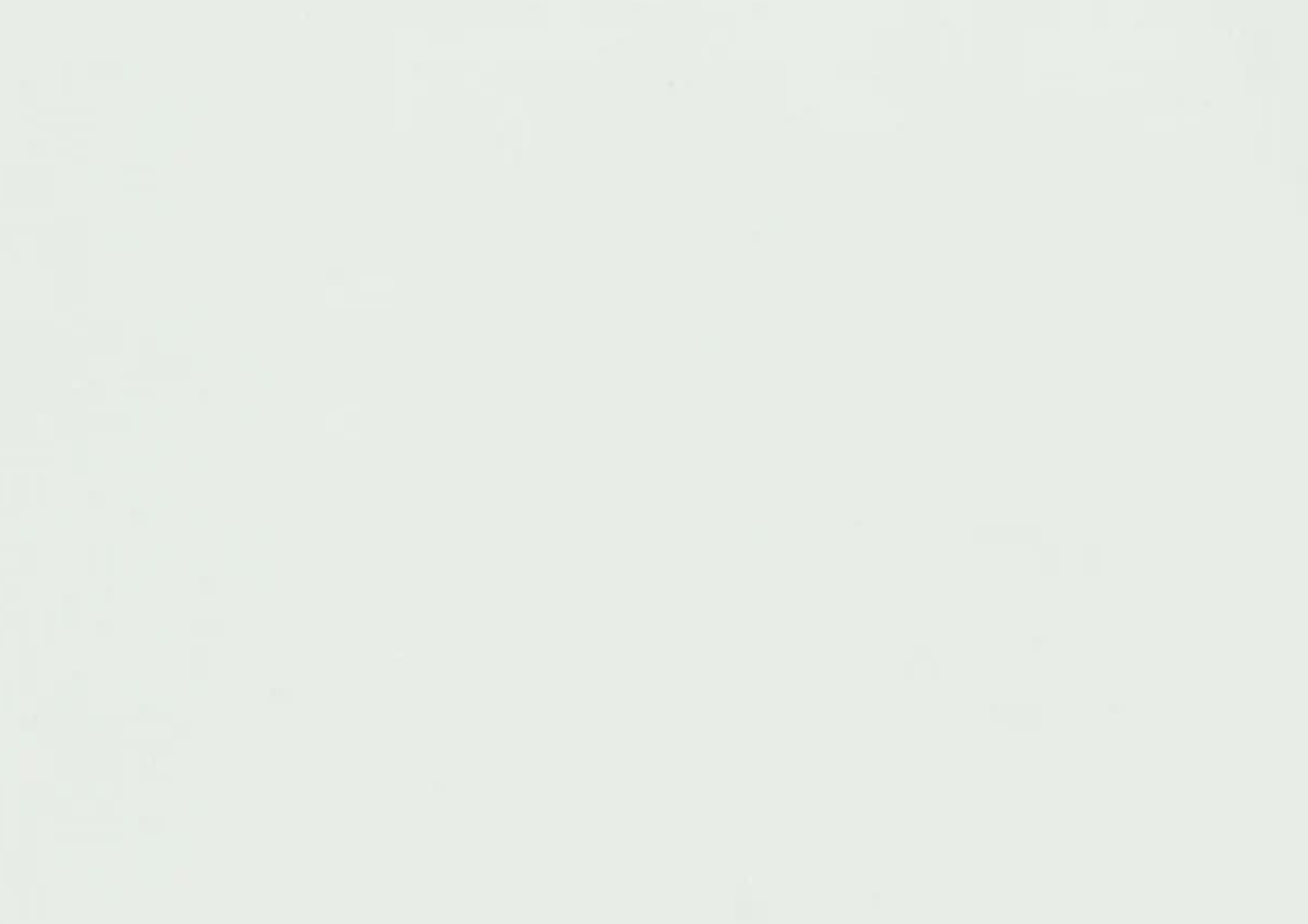 Folie PVC 3D NRV-BEY-101