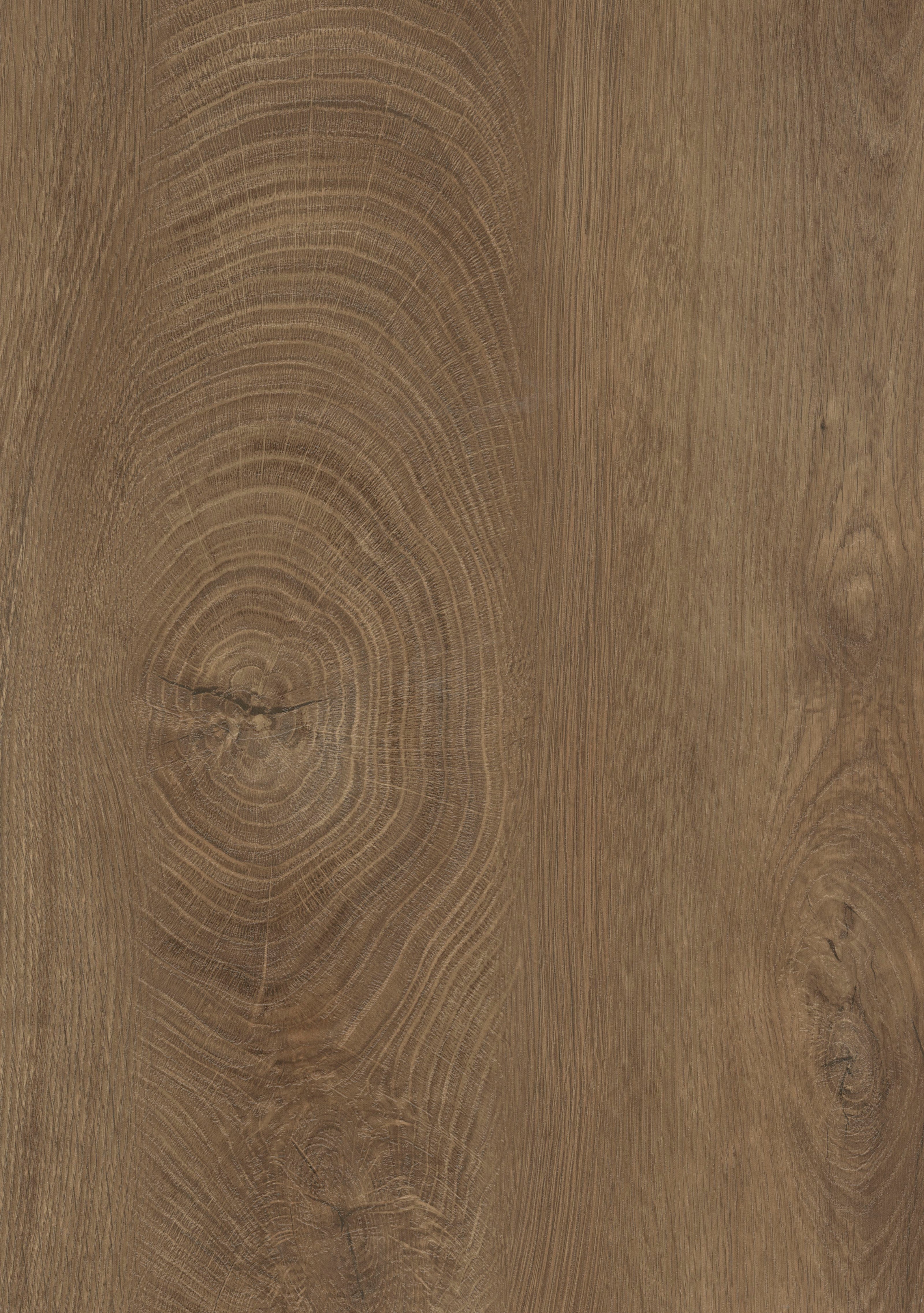 RENOLIT 3D Thermolaminate – Oak ENDgrain Cognac Synchro Premier