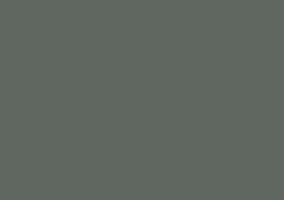 GRANDEX P-108 Pure Grey