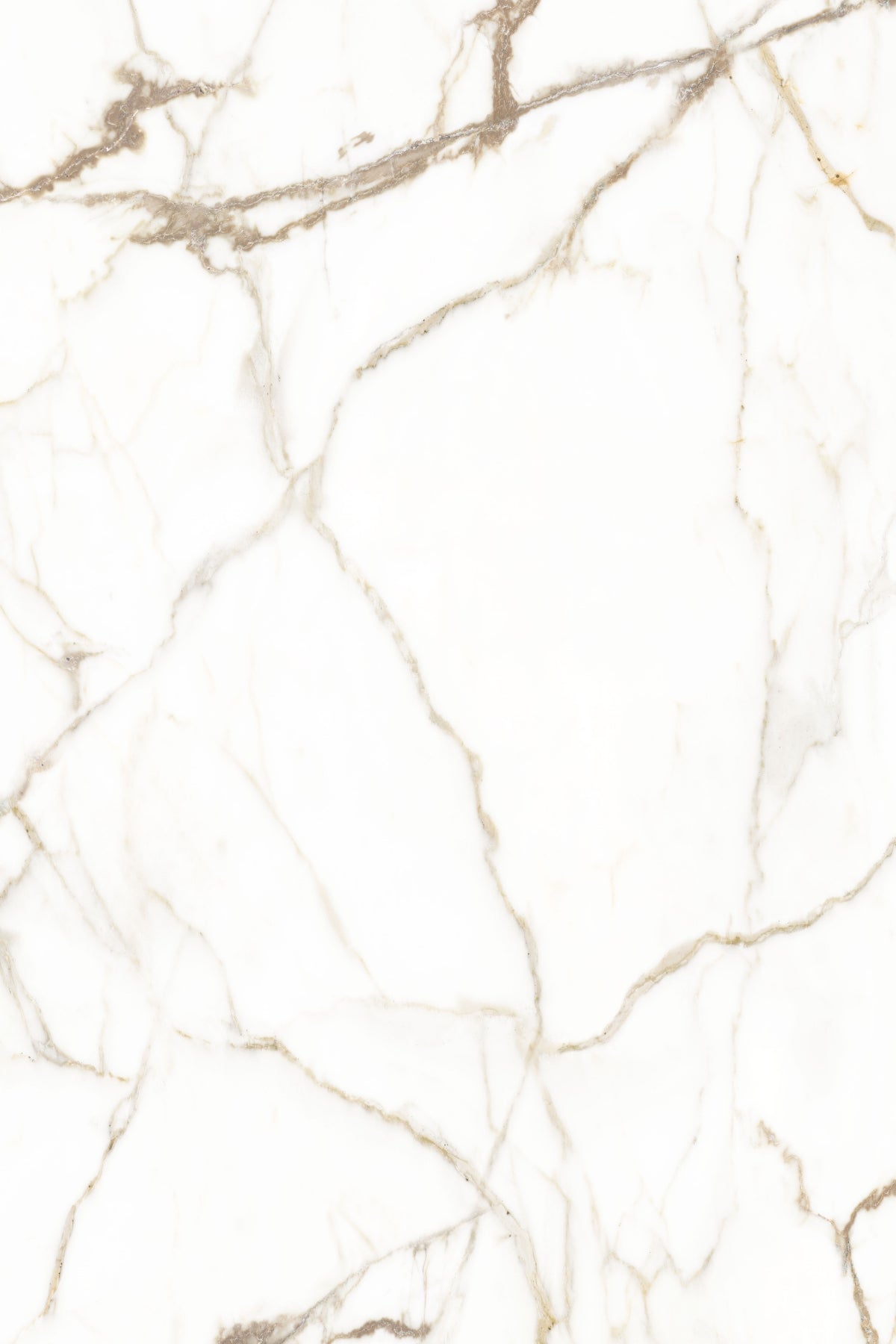 Placă decorativă SPC – R192 Bianco Gold