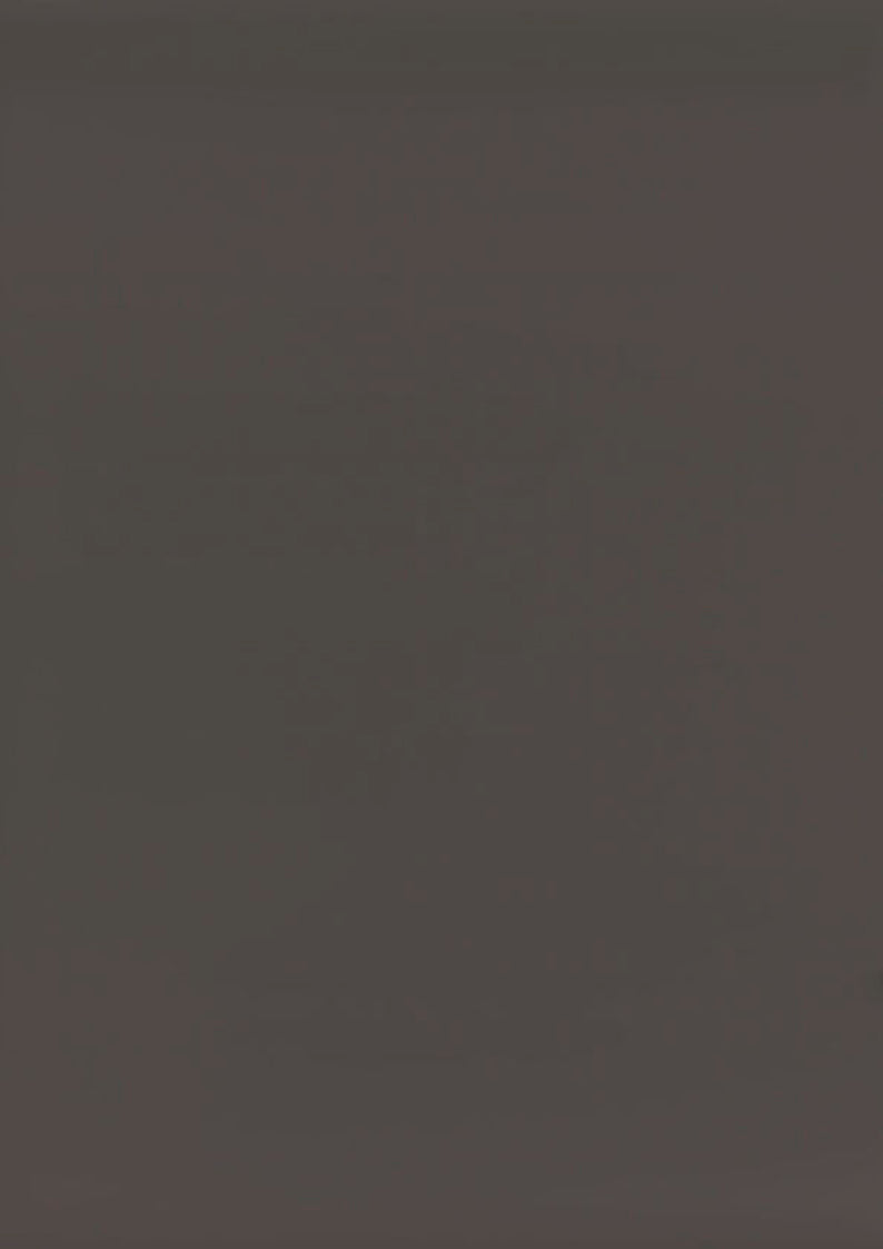 RENOLIT 3D PET HG – Wolfram Grey