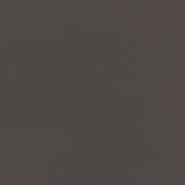 RENOLIT 3D PET HG – Wolfram Grey