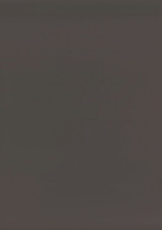 RENOLIT 3D PET HG – Wolfram Grey