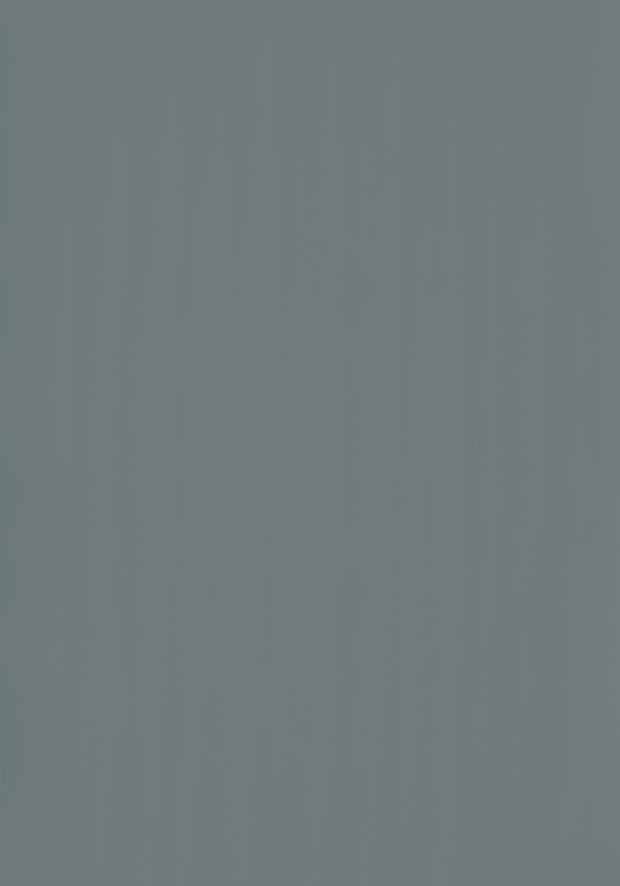 RENOLIT 3D Thermolaminate - Monument Grey Premier Matt