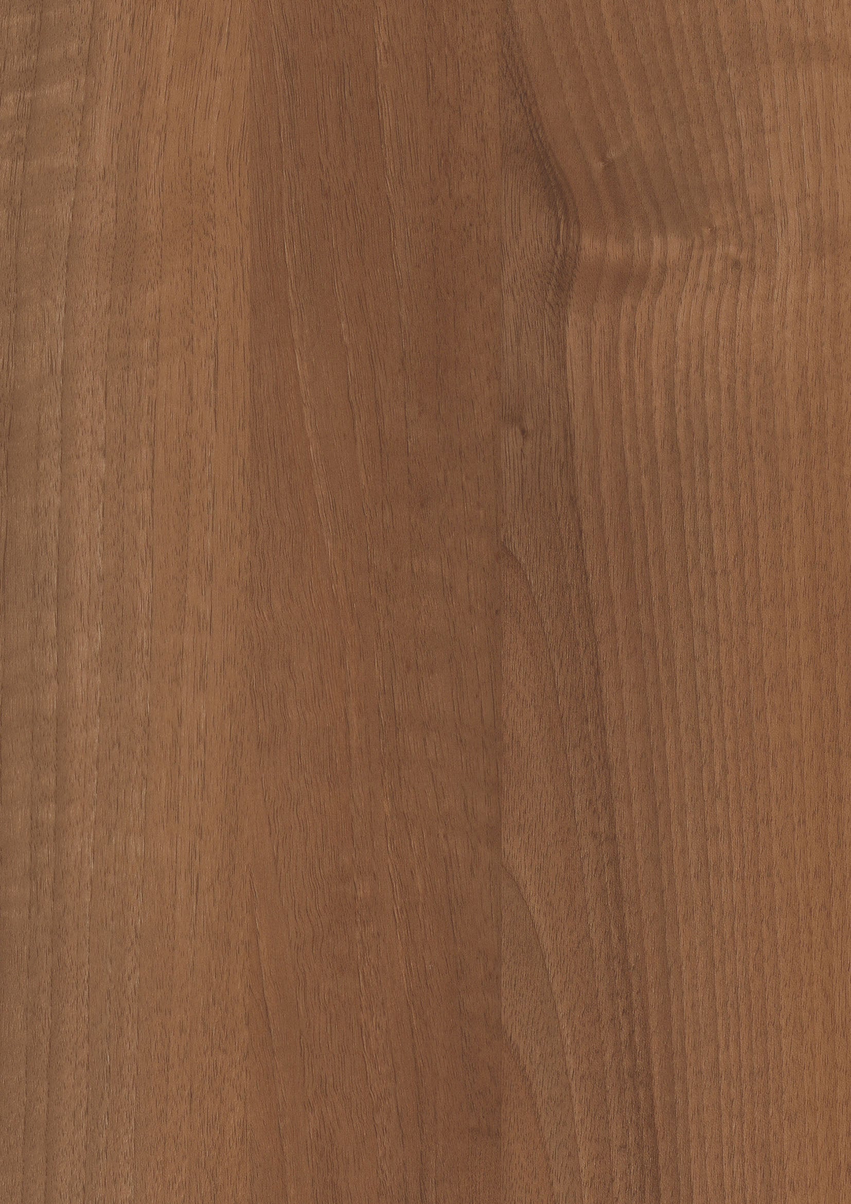 RENOLIT 3D Thermolaminate – Amati PD Premier