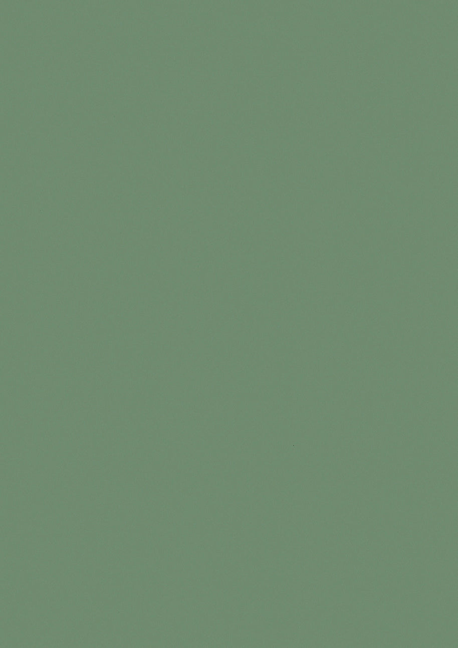 RENOLIT 3D Thermolaminate - Fern Classic