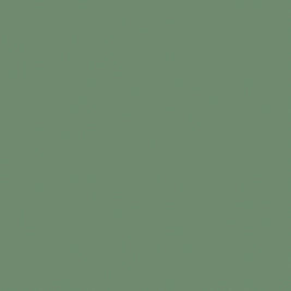 RENOLIT 3D Thermolaminate - Fern Classic